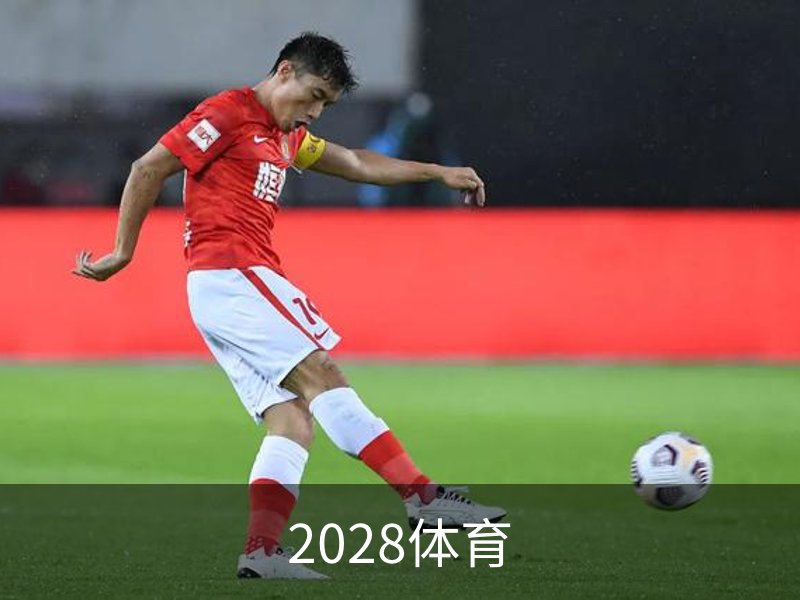 了解2028体育